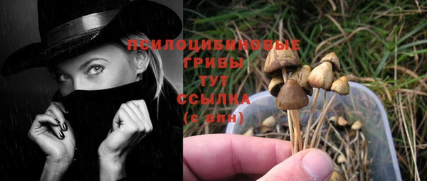 мяу мяу кристалл Бородино