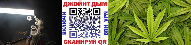 Марихуана сатива  Киренск 